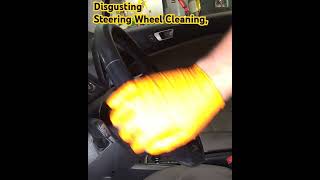 Gross Steering Wheel Cleaning [upl. by Halian]