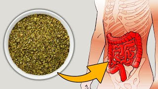 Why You Should Add Oregano to Your Diet Immediately 13 Scientific Reason [upl. by Seltzer]