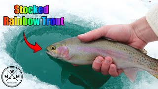 Stocked Rainbow Trout  Hidden Wisconsin Lake  Full of Trout [upl. by Idell55]