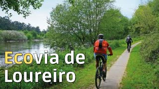 PEDALAR EM PORTUGAL  Ecovia do Loureiro  Portugal Diario  Ep 1125 [upl. by Errehs]