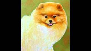 Pomeranian Miniature Painting Step by Step [upl. by Viddah]