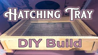 Hatching Tray  DIY Build [upl. by Gaelan]