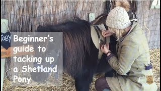 Beginners guide to tacking up a Shetland Pony  TV Episode 196 [upl. by Ialokin]