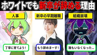 【新卒の傾向】働きやすい組織でも辞めてしまうその理由とは【ゆっくり解説＆ずんだもん】 [upl. by Butler]