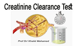 Creatinine Clearance Test تحليل استخلاص الكرياتينين [upl. by Alrep]