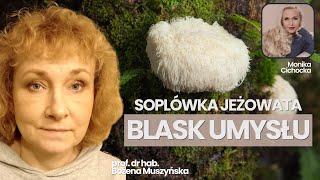 173 Soplówka Jeżowata BLASK UMYSŁU  Hericium Erinaceus  Monika Cichocka prof Bożena Muszyńska [upl. by Nnaecyoj650]