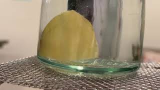 Catalase and Hydrogen peroxide experiment SD 480p [upl. by Noemis854]