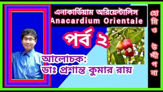 এনাকার্ডিয়াম অরিয়েন্টালিস  পর্ব ২  Anacardium Ori  Part 2  ডাঃ প্রশান্ত কুমার রায় [upl. by Etana]