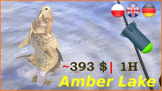 Amber Lake carp NO PVA  Russian Fishing 4 rf4 spot 89 [upl. by Nonnahsal]