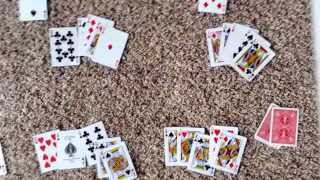 How to play Euchre Part 24 [upl. by Asilrak]