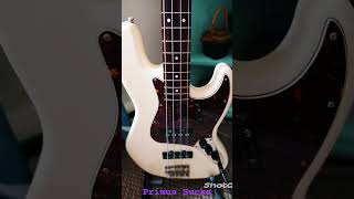 Primus  Southbound Pachyderm  Squier Jazz Bass [upl. by Hterrag]