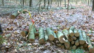 Meterholz spalten  Splitting Logs [upl. by Ycnuahc]