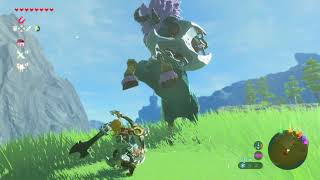 Blue Lynel  Lodrum Headland  Zelda Breath of the Wild [upl. by Enileuqkcaj]