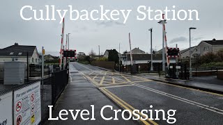 Cullybackey Station Level Crossing Ballymena Thursday March 21032023 [upl. by Jemie]