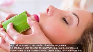 7 raisons de se frotter laloe vera sur votre visage et votre peau Bienfaits dAloeVera sur la peau [upl. by Ahsekat]