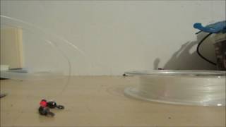 How To Tie A Pulley Pennel Rig Tutorial [upl. by Nagard]