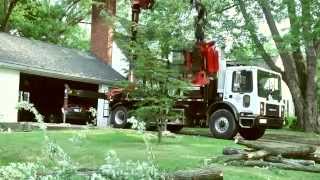 GERASIMEKS TREEMEK Mecanil SG220 Grapplesaw and Tiffin Loader Crane [upl. by Janaya]