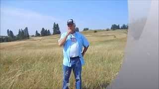 Whistle Commands Demo  How to Whistle  Field Examples  Dog  Stock Work  Border Collie [upl. by Murton]