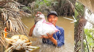 Truy Tìm Cua Biển Khu Gần Nhà Trúng Luồng Được Cả Bầy Cua Và Cứ Tưởng Hết Thấy Đường Về [upl. by Wessling]