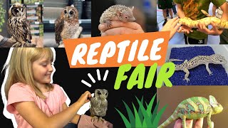 🐍 Reptile Adventure Snakes Lizards Spiders Chameleons Turtles amp Owls [upl. by Consuela]