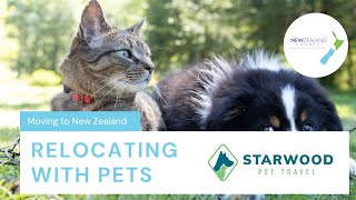 Relocating with pets  Everything you need to know about moving to NZ with your furry friend [upl. by Tsepmet]