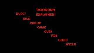 Taxonomy explained [upl. by Stella]