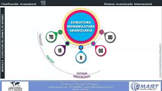 NOMENCLATURA ARANCELARIA [upl. by Gaw]