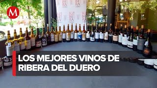 Descubre las 30 etiquetas favoritas de Ribera del Duero [upl. by Lara]