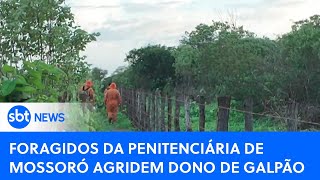 Proprietário de galpão é agredido por fugitivos da penitenciária de Mossoró SBTNewsnaTV 040324 [upl. by Ellednahc495]