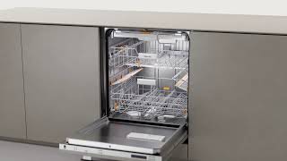 How to replace the immobilising brake on your Miele dishwasher [upl. by Eerised551]