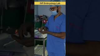 IVF Embryology Lab working ivf ivfcenter ivfclinic embryology embryologist ivfprocess shorts [upl. by Yaluz]