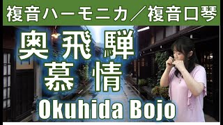 P535 『奥飛騨慕情』”Okuhida Bojo” 複音ハーモニカ by 柳川優子 Yuko Yanagawa Tremolo Harmonica 1000 複音口琴 [upl. by Caroline]