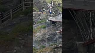 tintagel castle bridge Cornwall fyp everyone fypviral dads0111 subscribe cutecat [upl. by Bess]