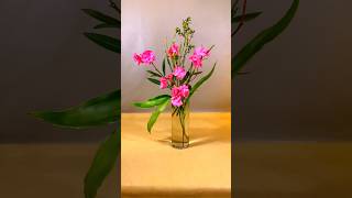 Pink Oleander Flower Arrangement  花藝 flowers [upl. by Berne]