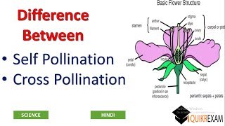 Difference Between Self Pollination and Cross Pollination  Hindi  Science  Quikr Exam [upl. by O'Brien]