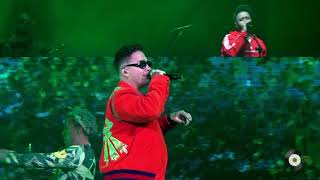 J Balvin  Safari  Energía Tour [upl. by Wailoo523]