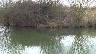 NEW CLAYGATE LAKES MARDEN NEAR PADDOCK WOOD KENT [upl. by Laurianne912]