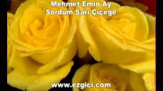 Mehmet Emin Ay Sordum Sarı Çiçeğe [upl. by Alvar951]