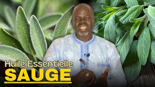 Bienfaits Huile Essentielle SAUGE  Pr Ousmane Ndiaye  LansarrTV [upl. by Nottirb]