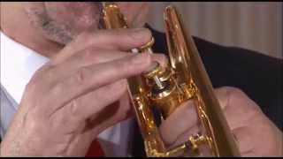 Nicolas Jacques Lemmens  Fanfare in DDur [upl. by Etolas]