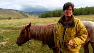 Mongolian Riding Tours with Stone Horse Expeditions and Travel  Dana [upl. by Romonda]