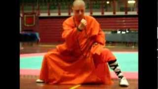 SHAOLIN QIGONG WUXINGQUANi 5 AnimaliquotAttingere dalle risorse interiori per guarirequot SEMINARIO [upl. by Tahmosh]