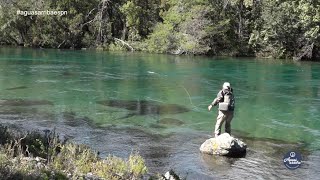 Pesca Rio Traful Arroyo Verde Patagonia Argentina Aguas Arriba Latinoamérica Temporada12 E2 2019 [upl. by Razid]