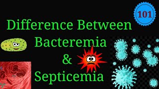 Difference Between Bacteremia and Septicemia EnteMicrobialWorldmicrobiology infection bacteria [upl. by Amos967]