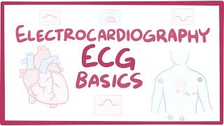 Electrocardiography ECGEKG  basics [upl. by Euqinay735]