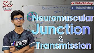 Neuromuscular junction physiology in bangla  Neuromuscular transmission Myasthenia gravis [upl. by Rocker]