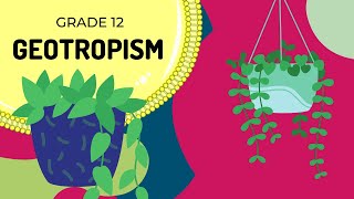 GEOTROPISM  Easy to Understand [upl. by Bernadine]