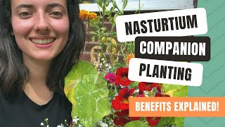 Companion Planting With Nasturtiums To Deter Garden Pests [upl. by Gnohc]