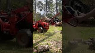 Cutting firewood with ported chainsaw🔥shorts [upl. by Raji]