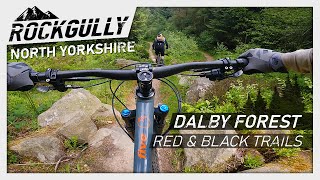 Dalby Forest  Red and Black Trails  North York Moors Mountain Biking [upl. by Tilford]